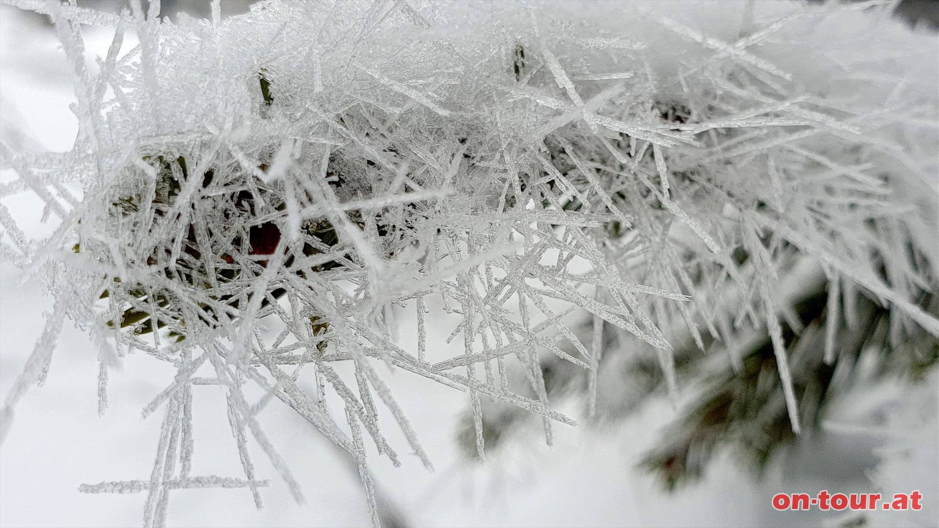 Feiner, kunstvoller Schneeschmuck.