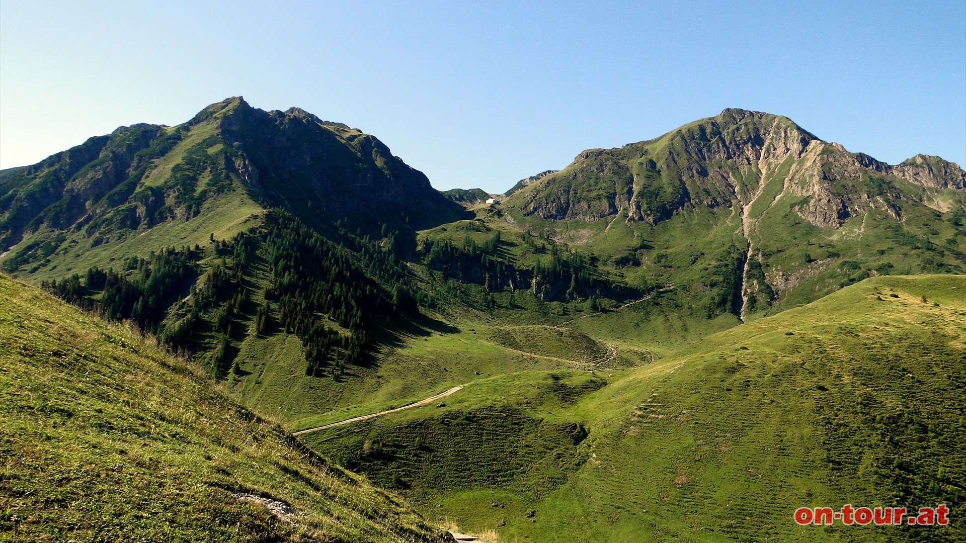 Wildseeloder (rechts) und Henne (links).