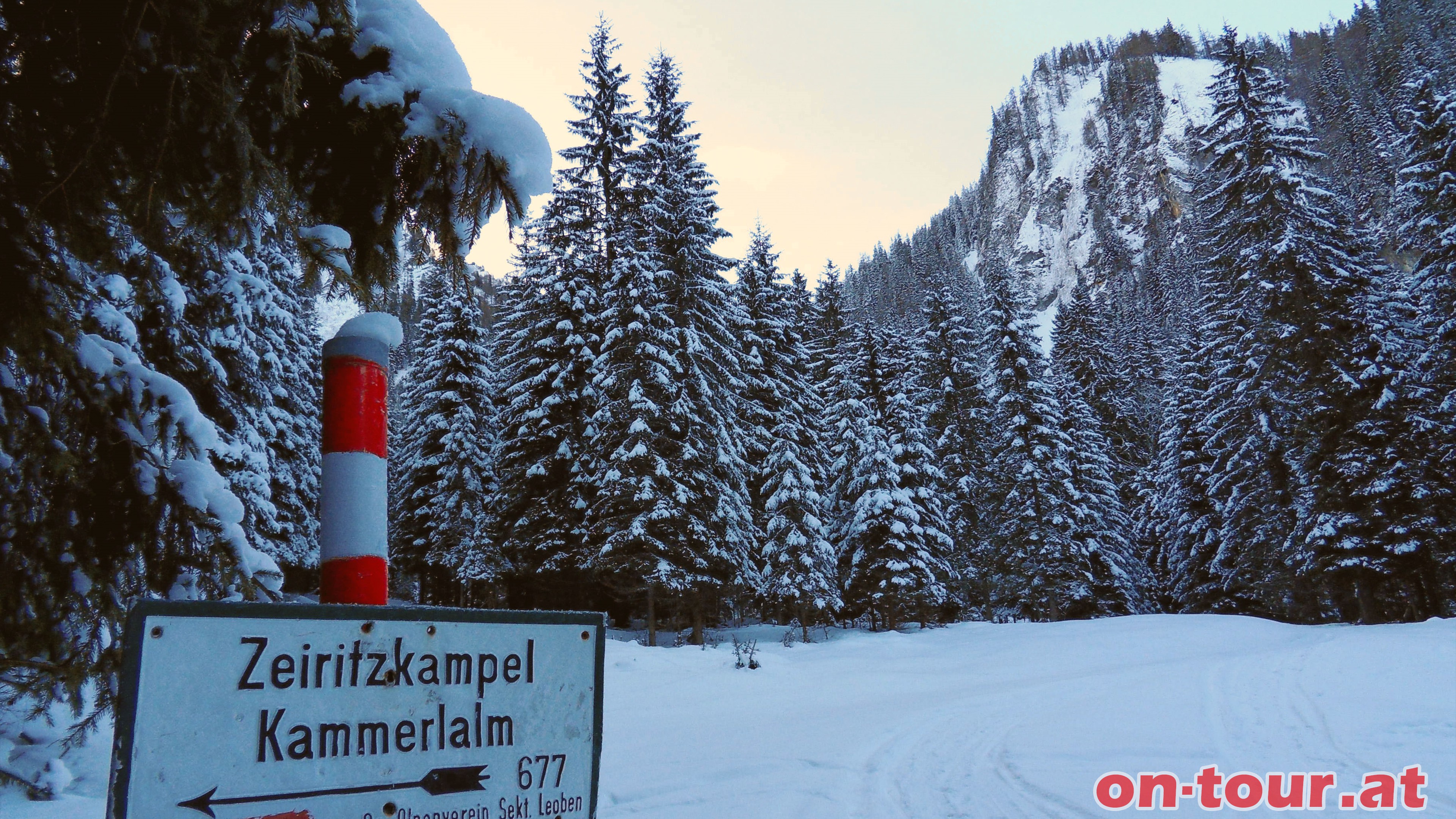 Bei einer greren Lichtung biegt der markierte Wanderweg nach links ab.