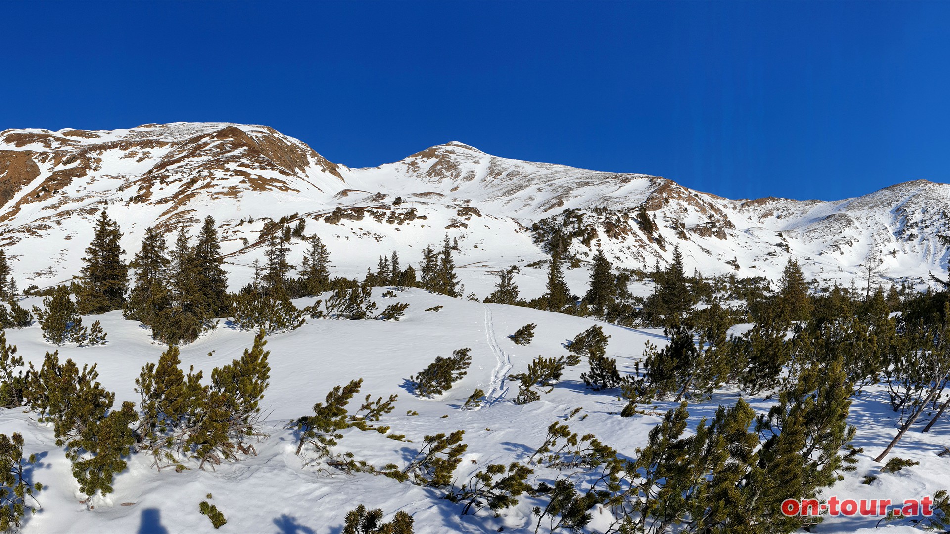 Auwinkel mit Blick zum Zinkenkogel.